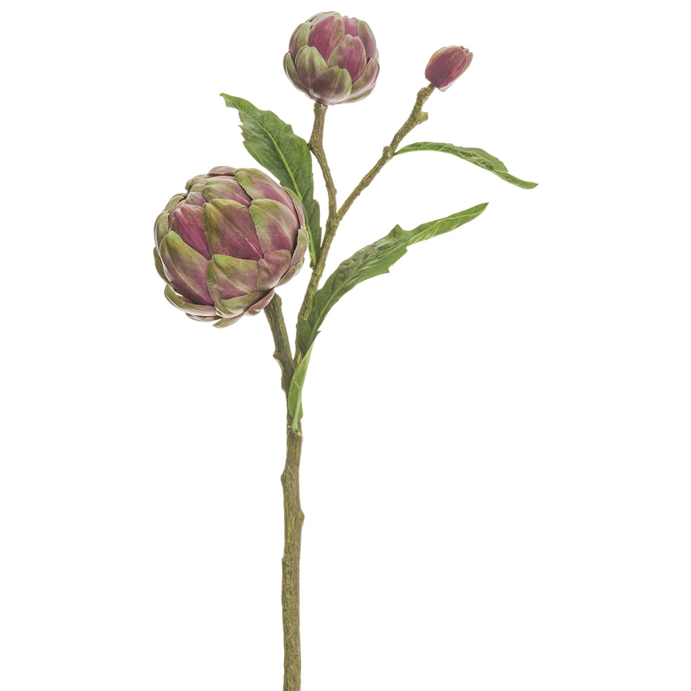 Artichoke Stem