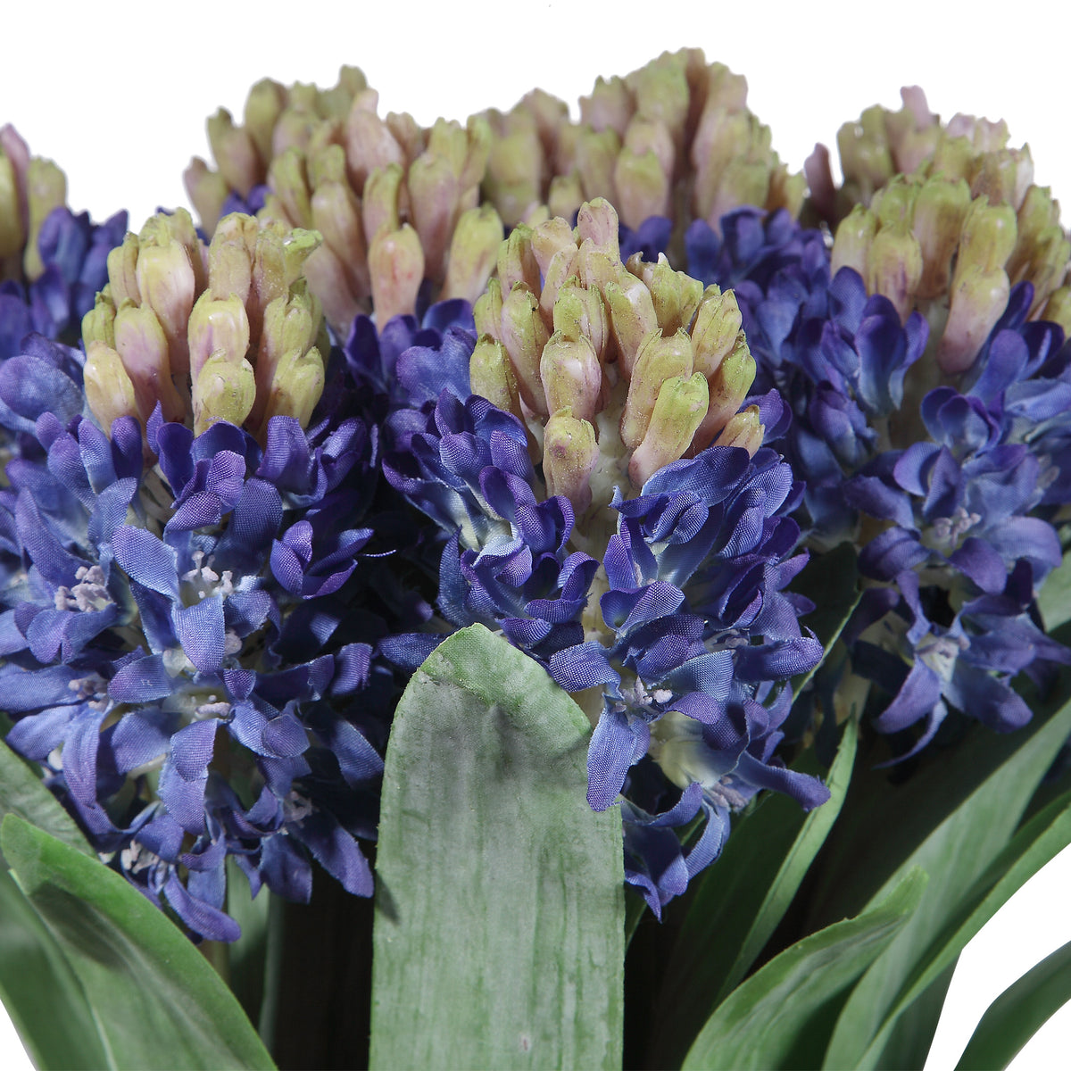 Etta Hyacinth Bouquet