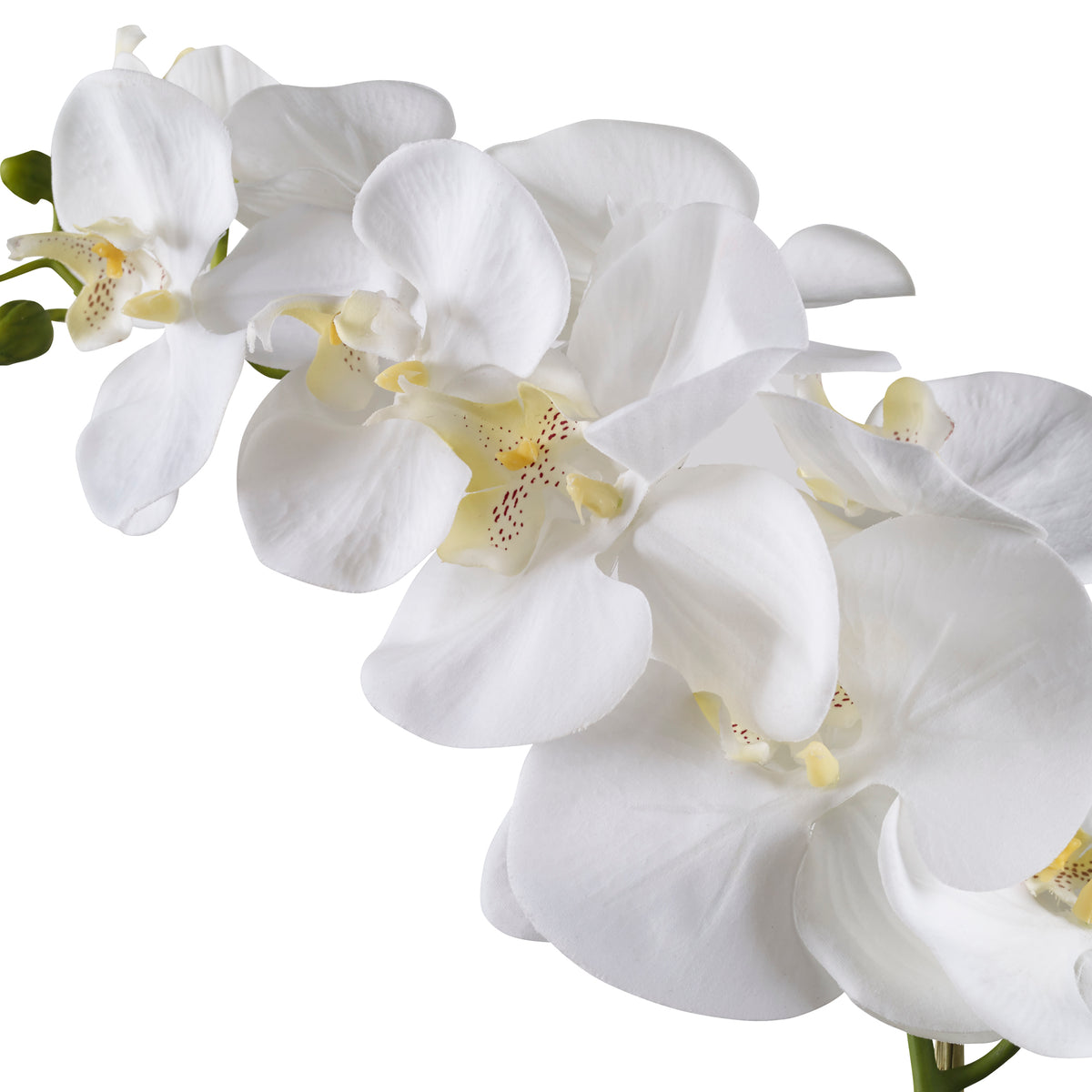 Cami White Orchid - Artificial