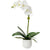 Cami White Orchid