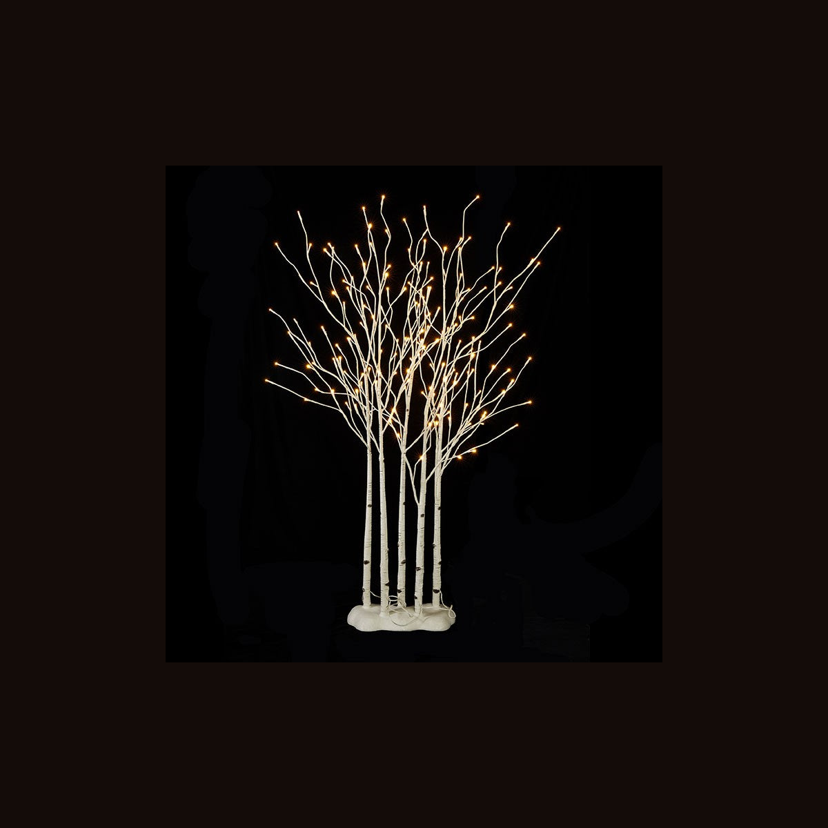 Birch Lighted Grove