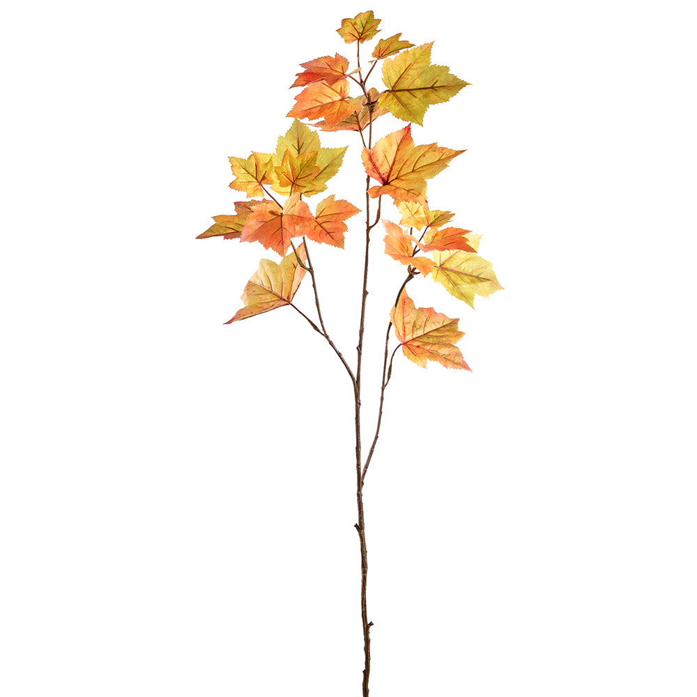 Canadian Maple Leaf Branch