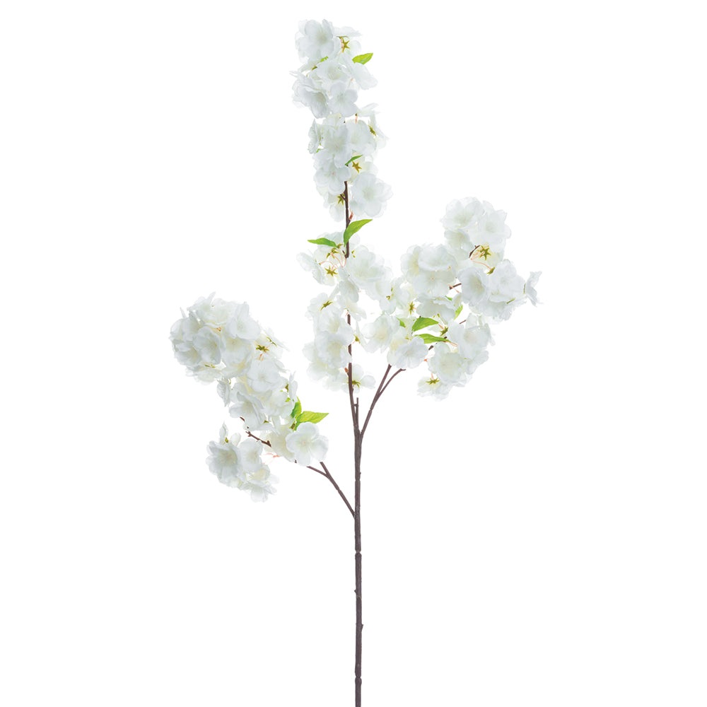 Cherry Blossom Branch  White