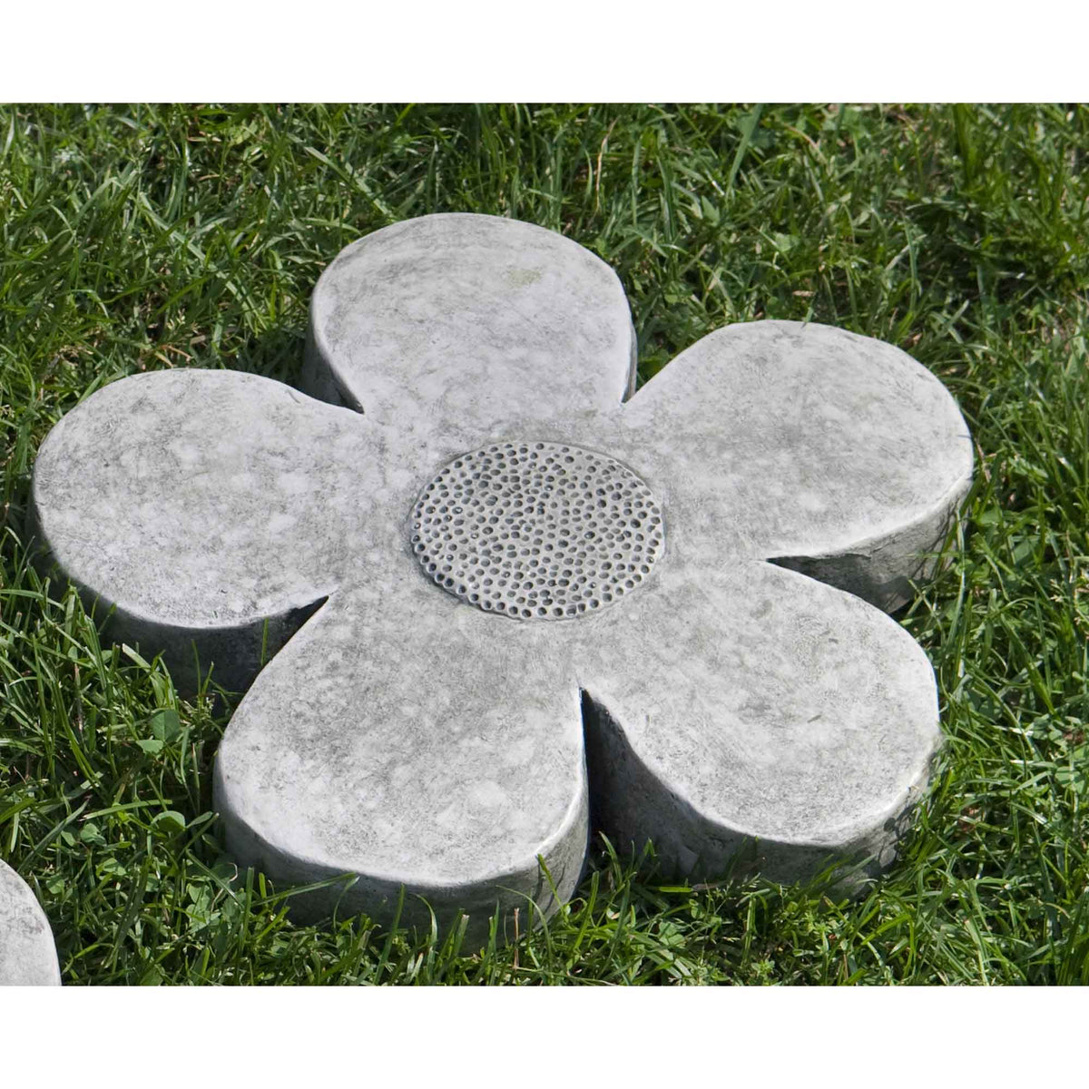 Flower Power Stepping Stone