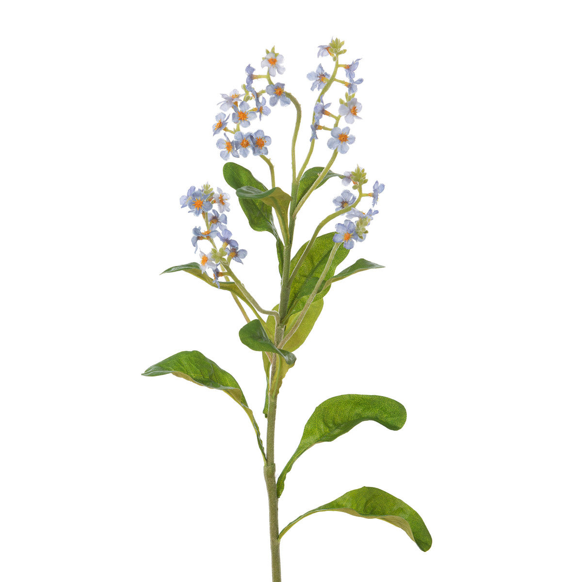 Forget Me Not Stem