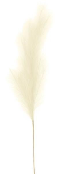 43&quot;L Grass Plume Stem - Ivory