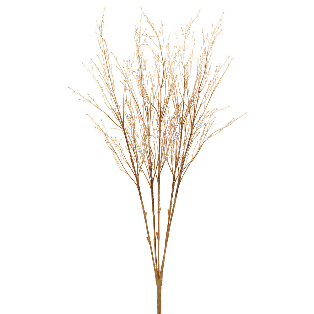 Fountain Grass Bush Rust - RFD