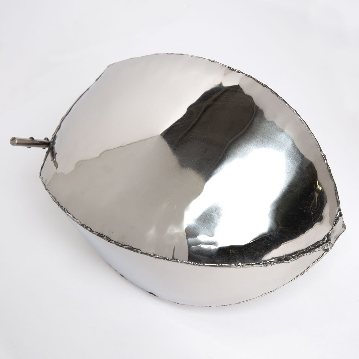 Coconut Fruit Stainless