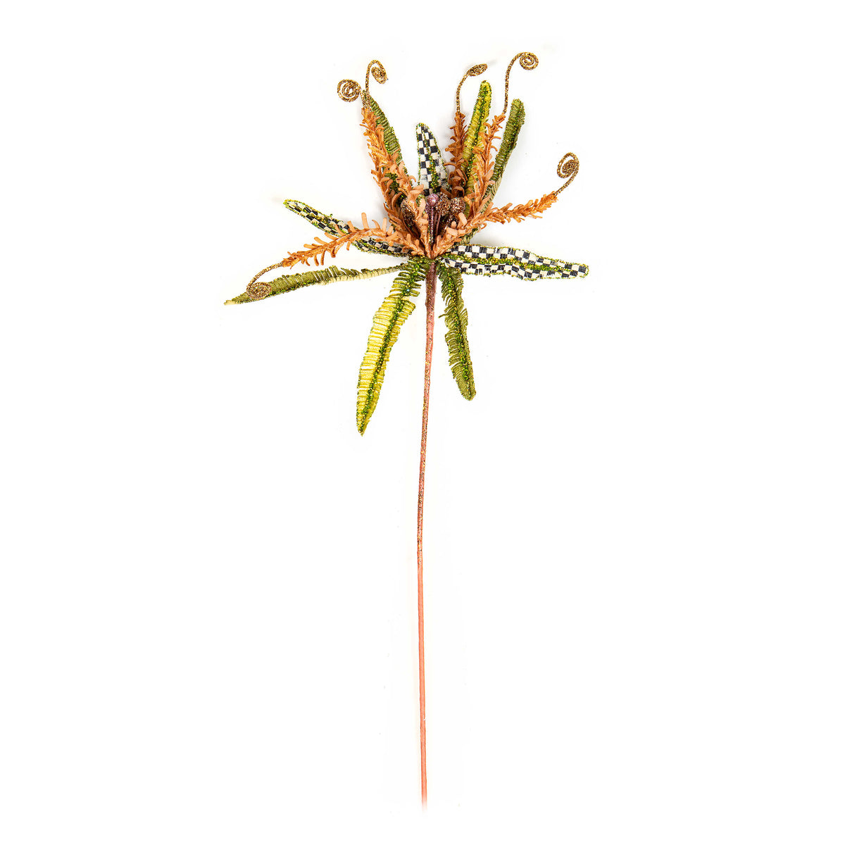 Woodland Fiddle Fern Stem