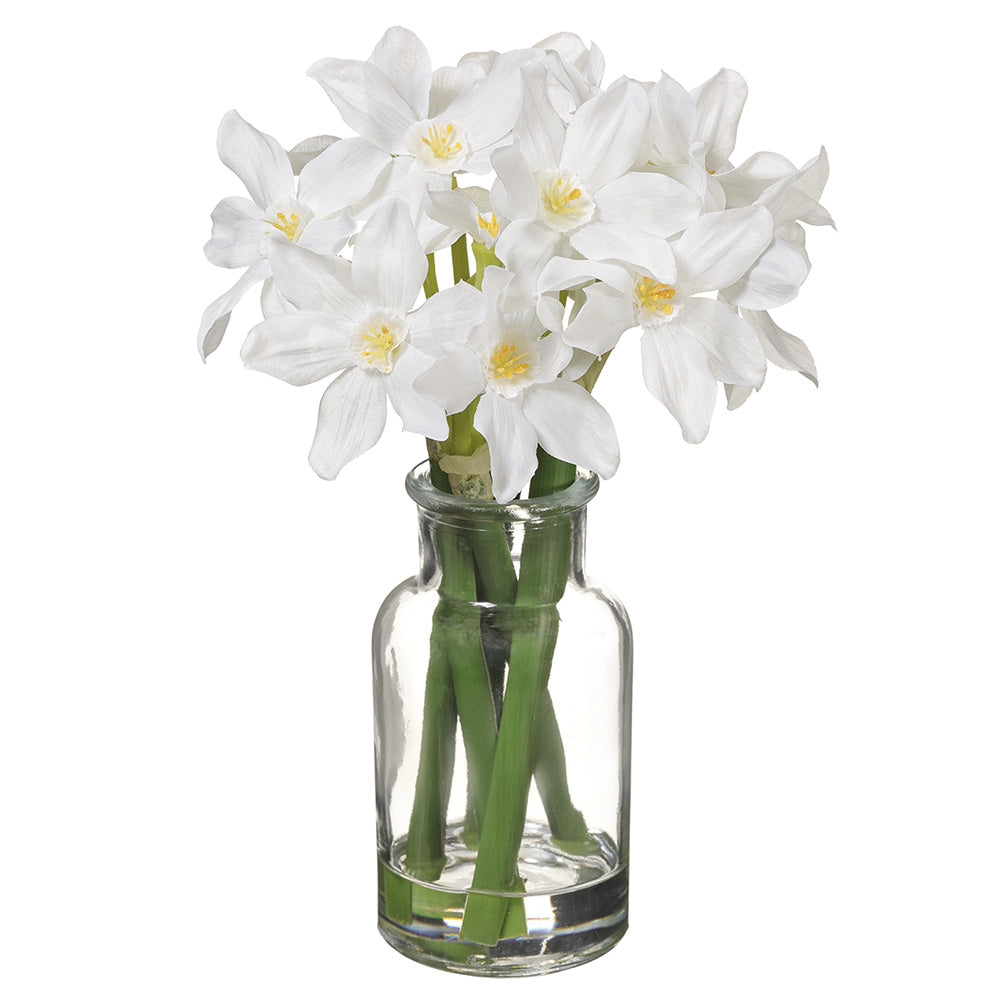 Narcissus in Glass Vase White