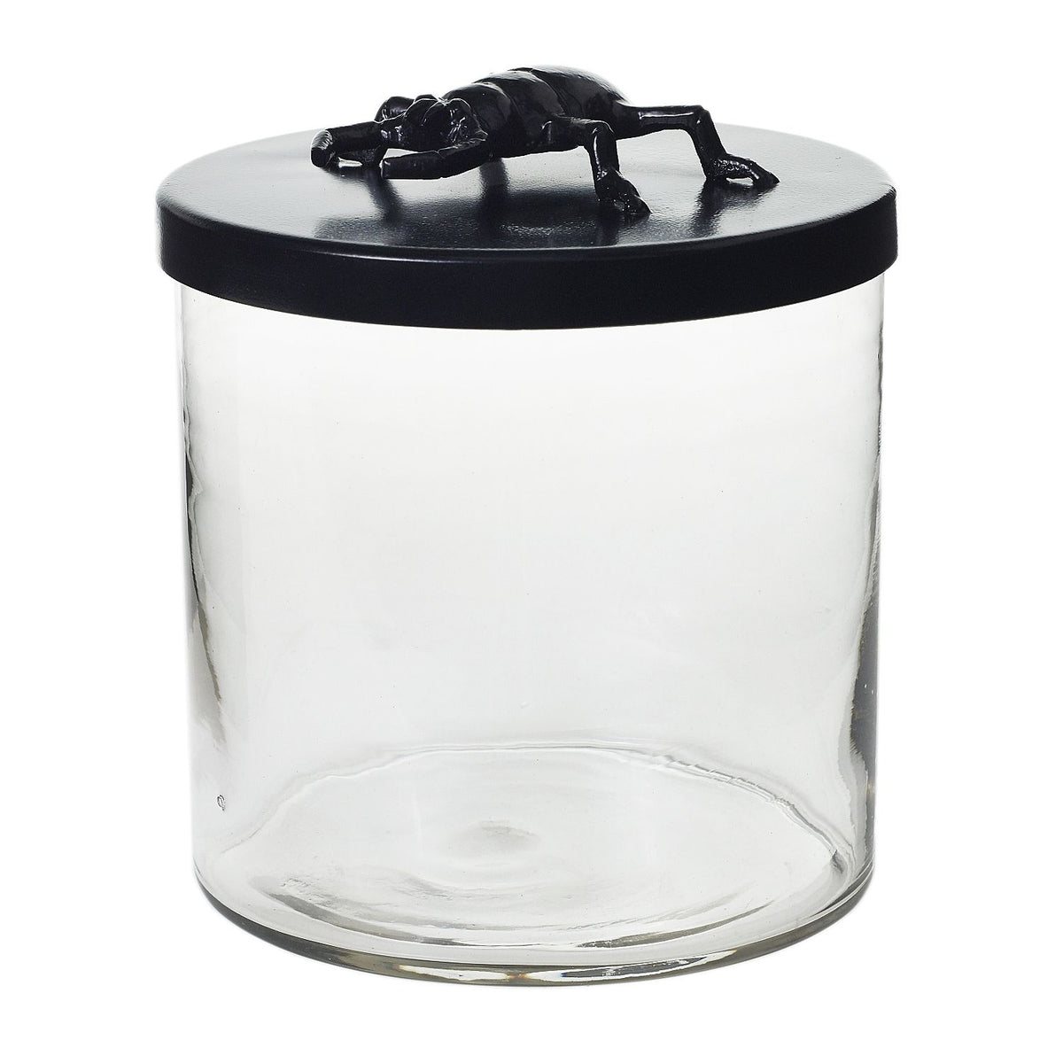 Ology Canister Beetle
