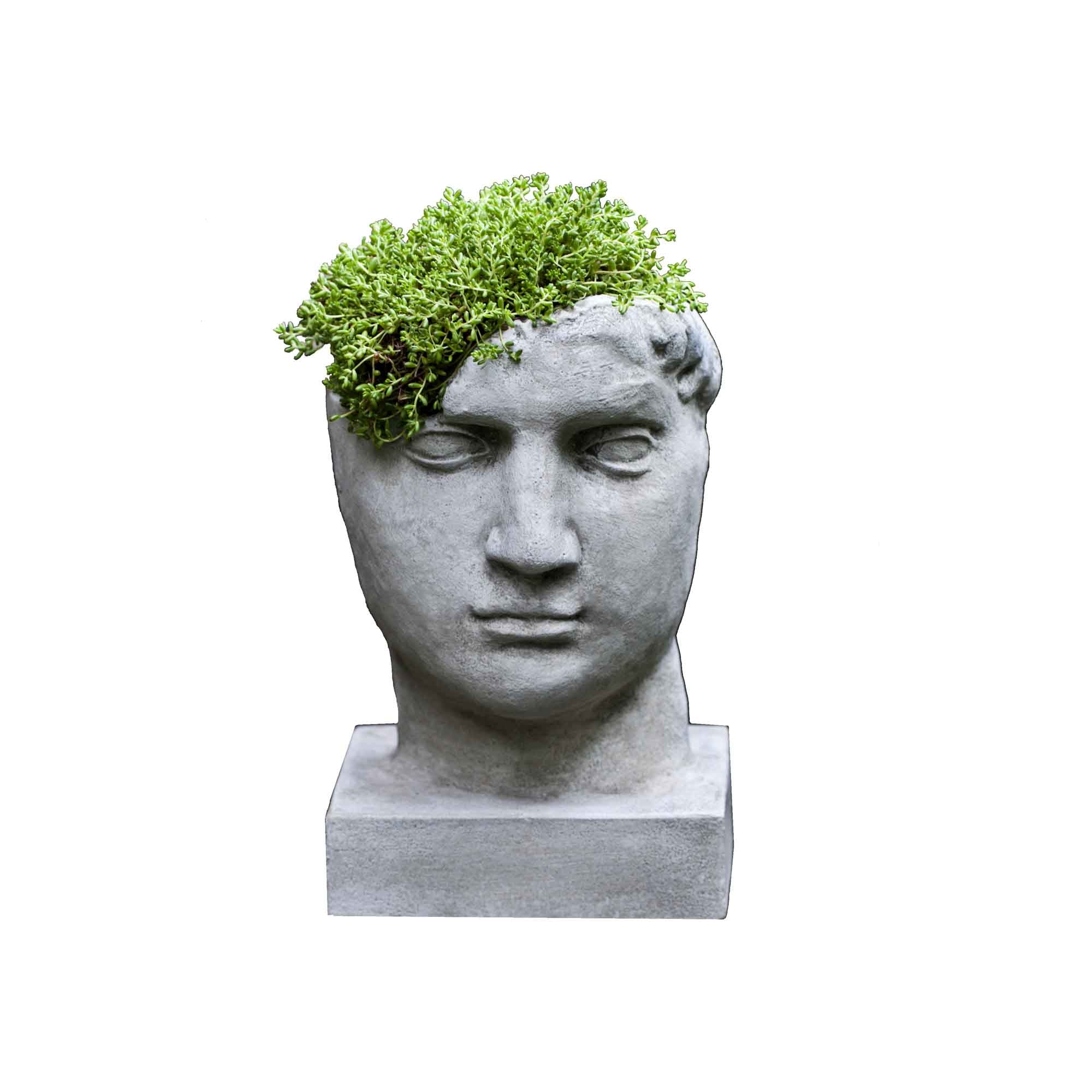 Aurelius Planter