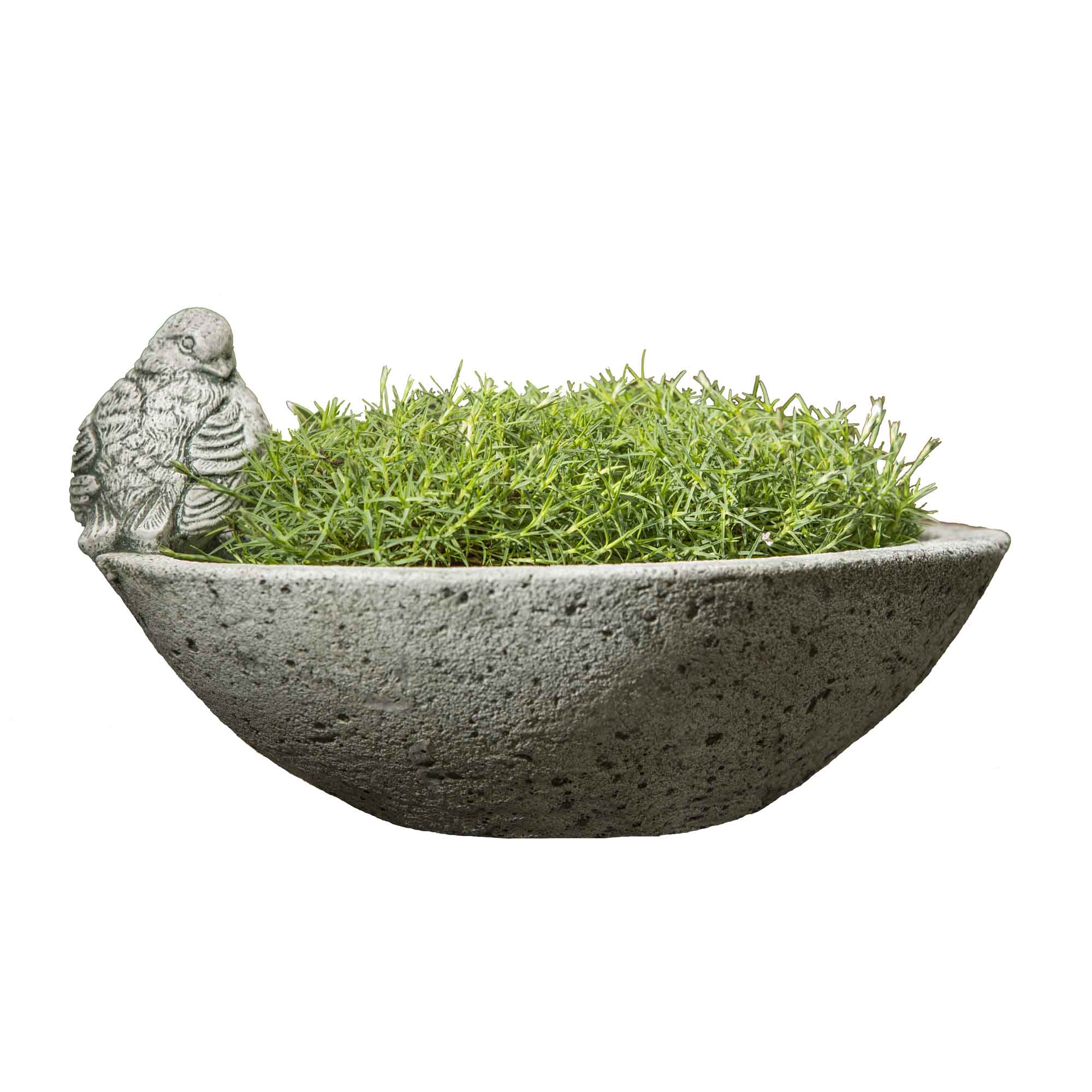 Aurielle Planter