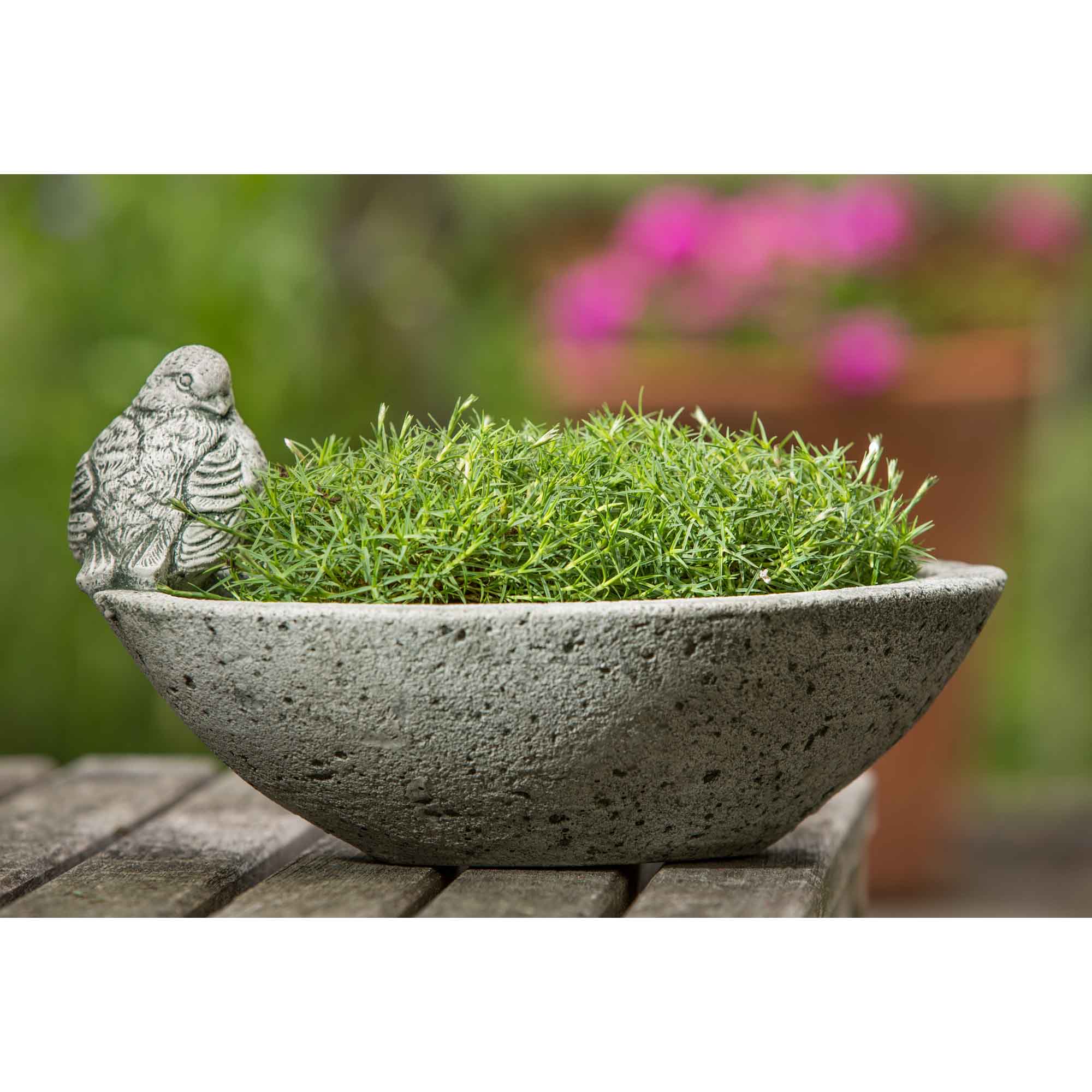 Aurielle Planter