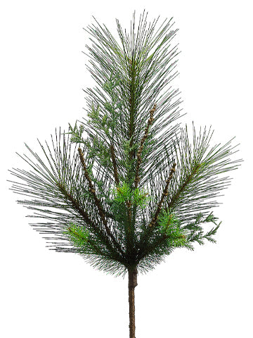 Pine Twig Branch