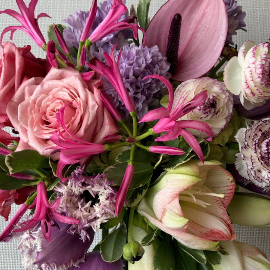 RFD DESIGNER'S CHOICE in Bright Pink and Purple
