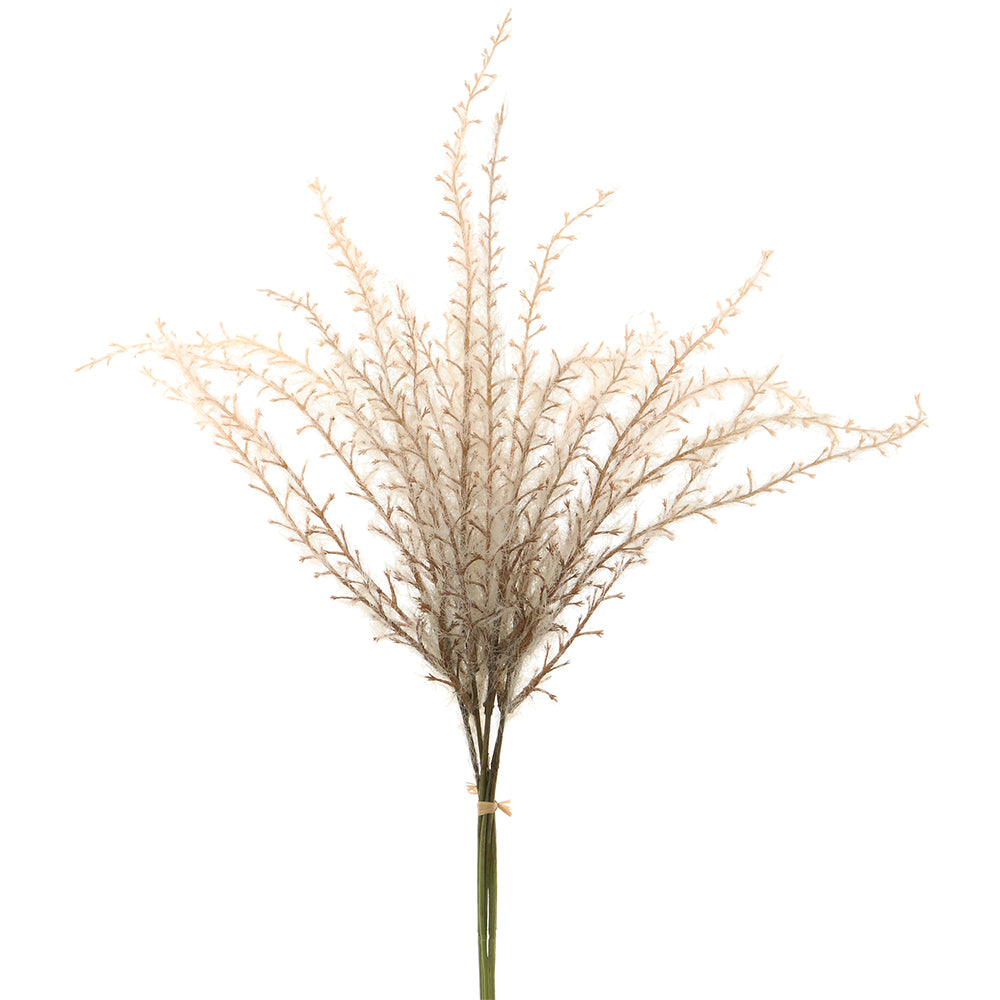 Reed Grass Bundle - Beige