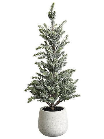 Small frosted tree