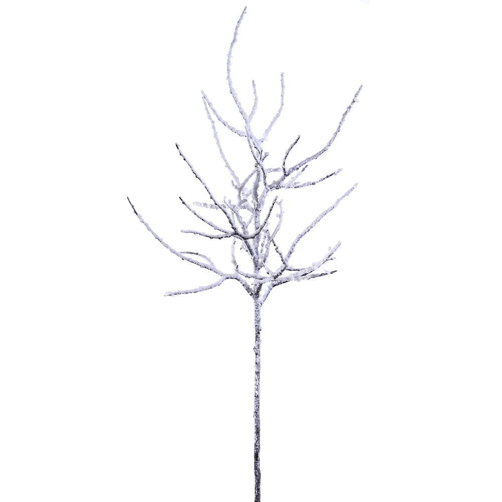 Snowed Twig Tree Branch