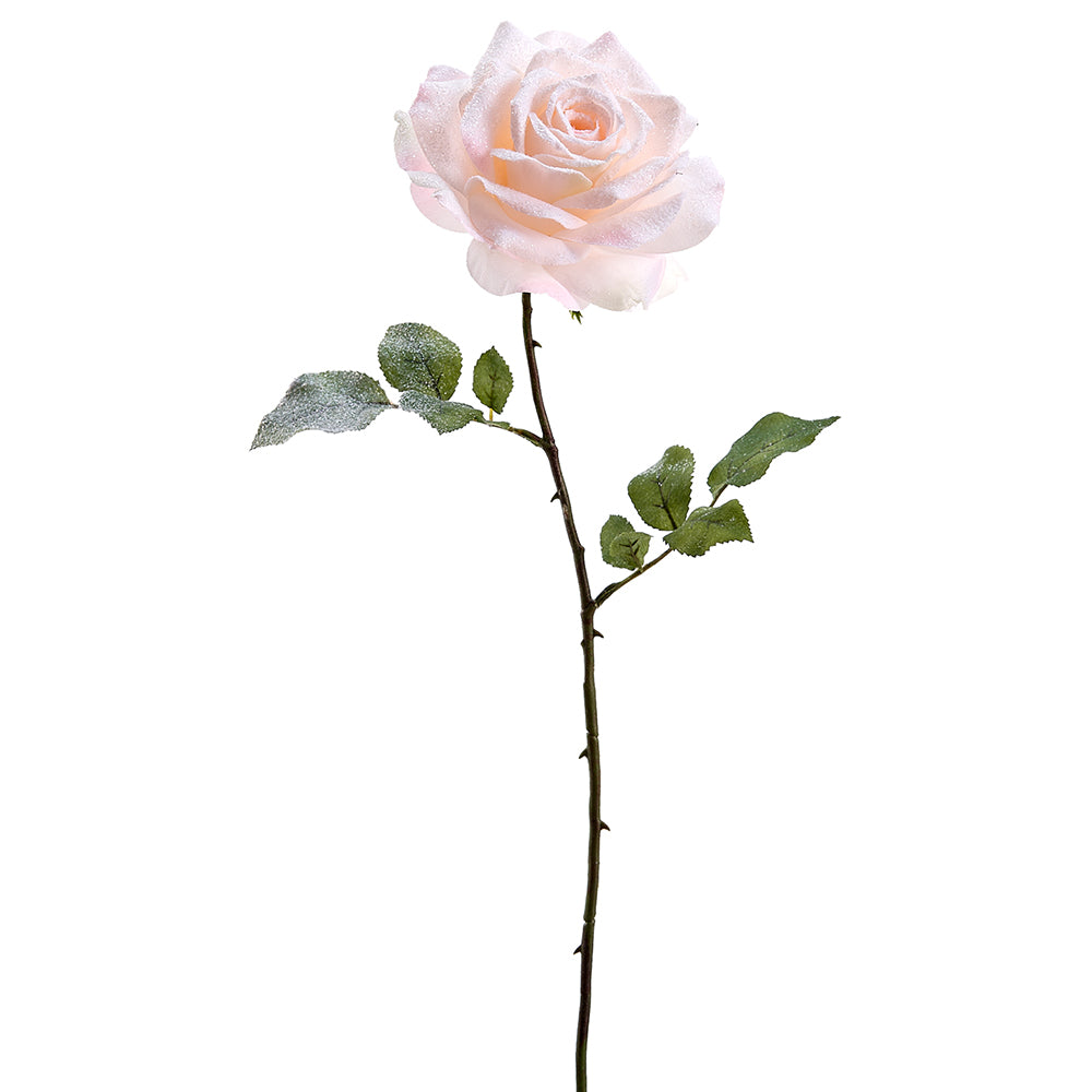 Snowed Rose Stem - Pink