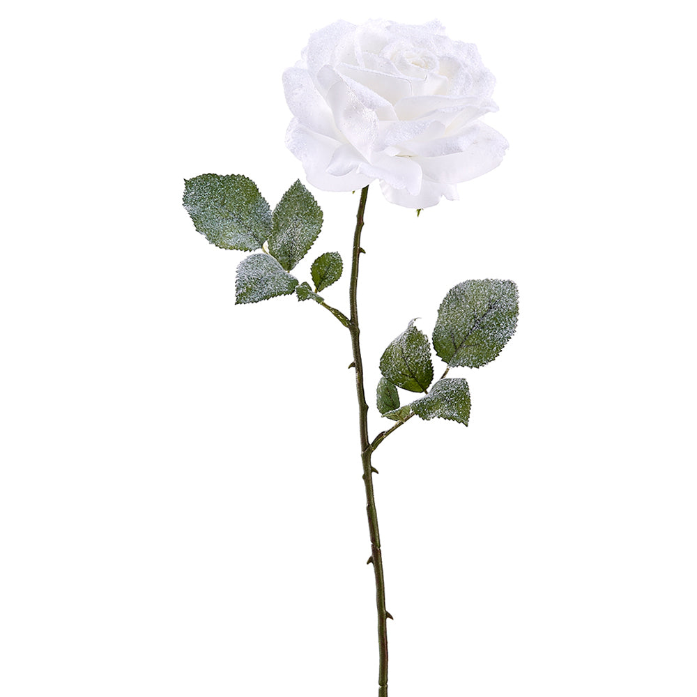Snowed Rose Stem - White