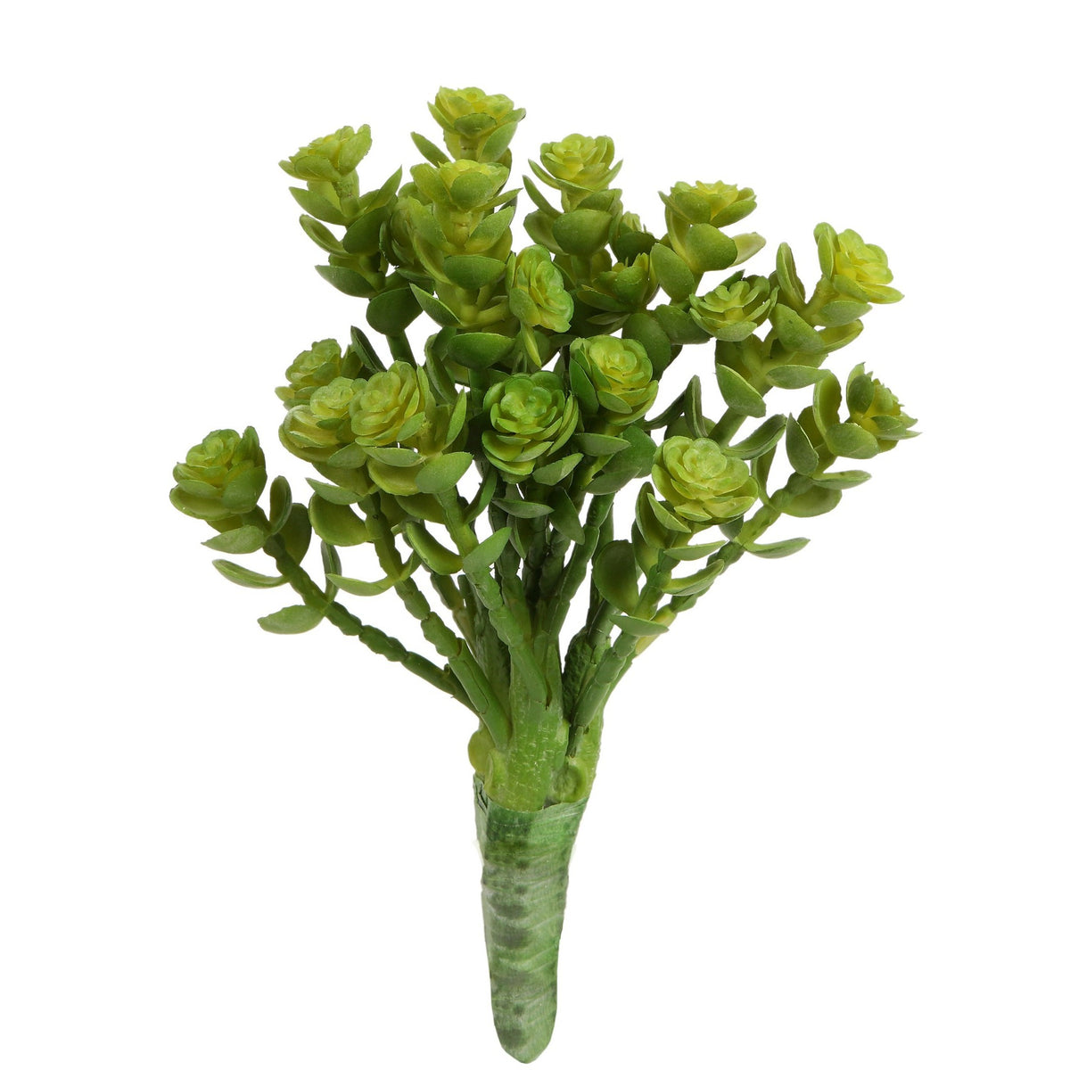 Succulent Mini Stem