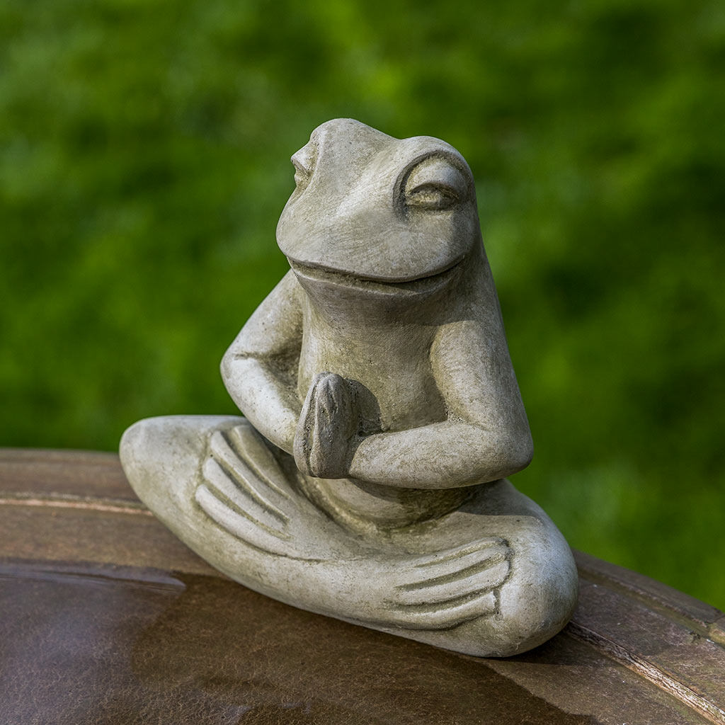 Meditation Frog