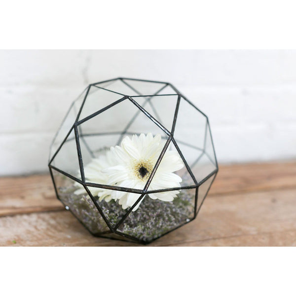 Geode Terrarium - RFD