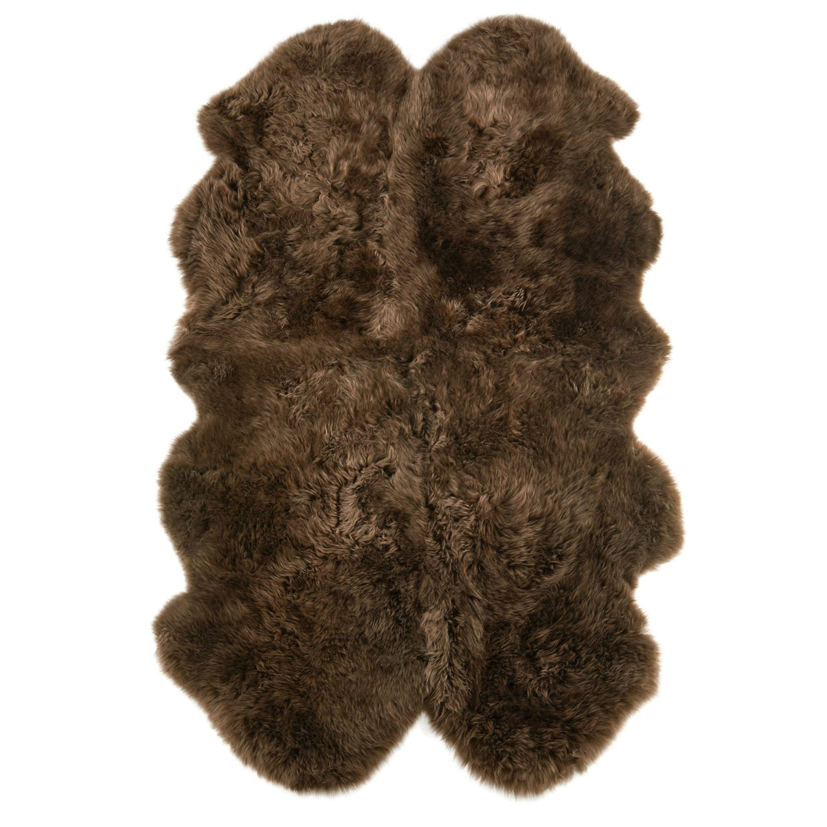 Quarto Pelt Morchella