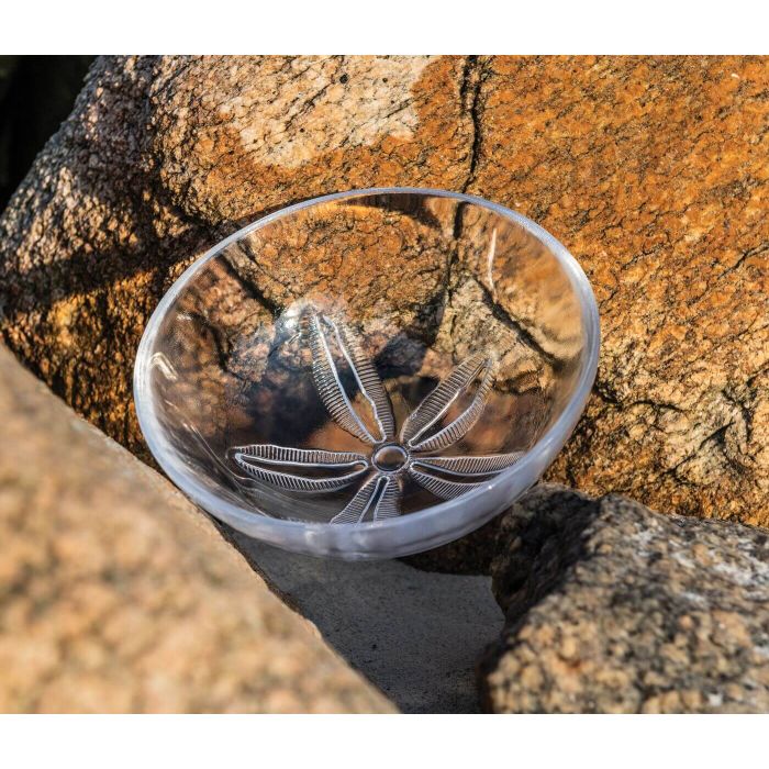 Sand Dollar Bowl