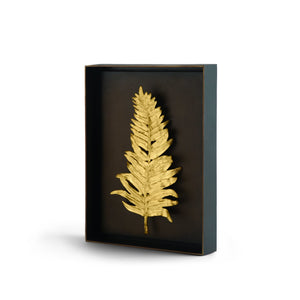 Fern Shadow Box