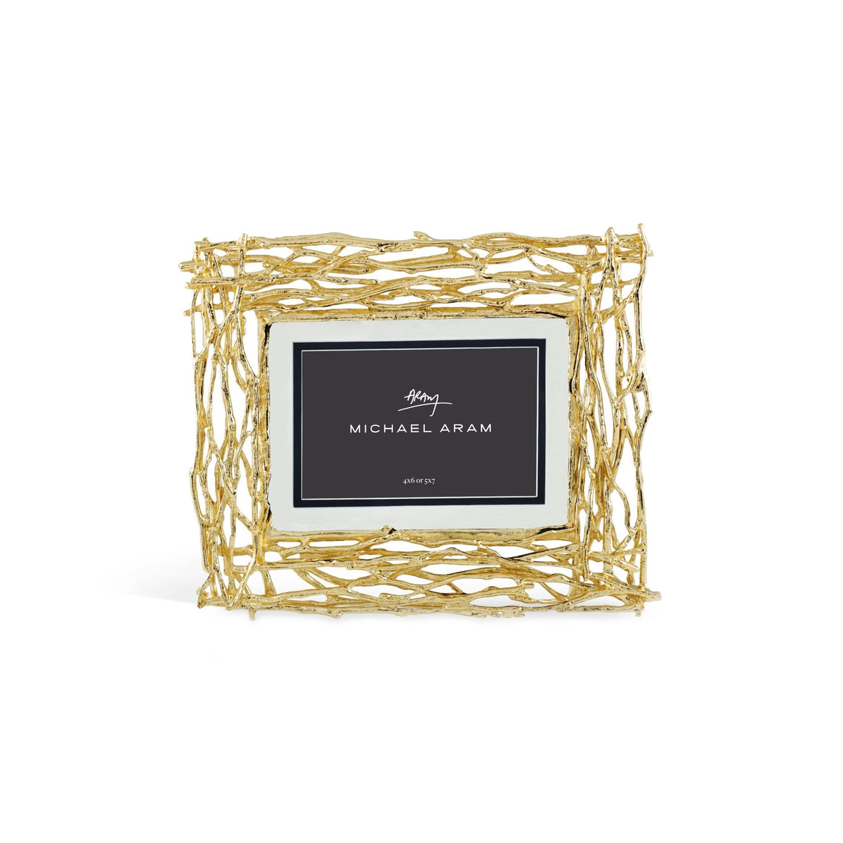 Twig Frame - Gold