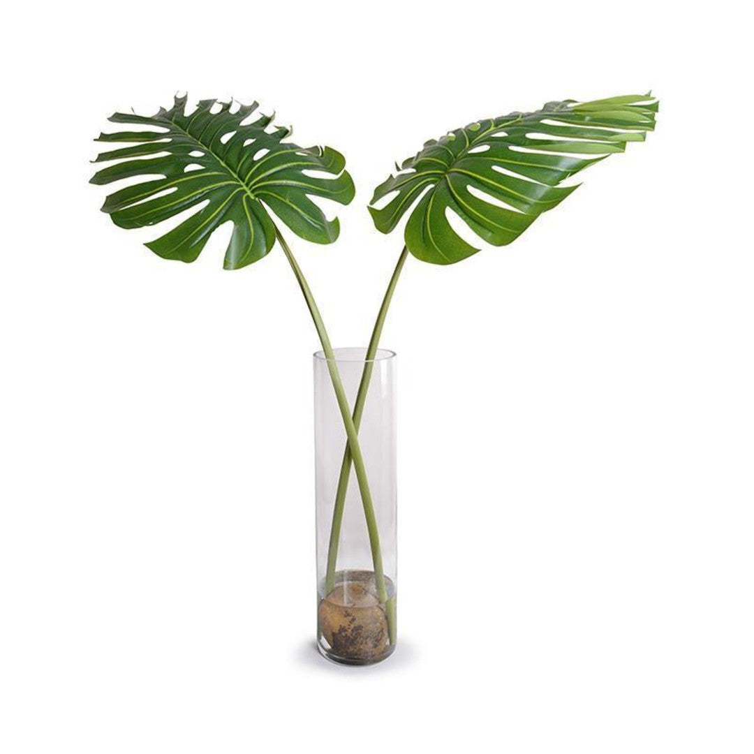 Monstera Leaves in Cylinder Vase
