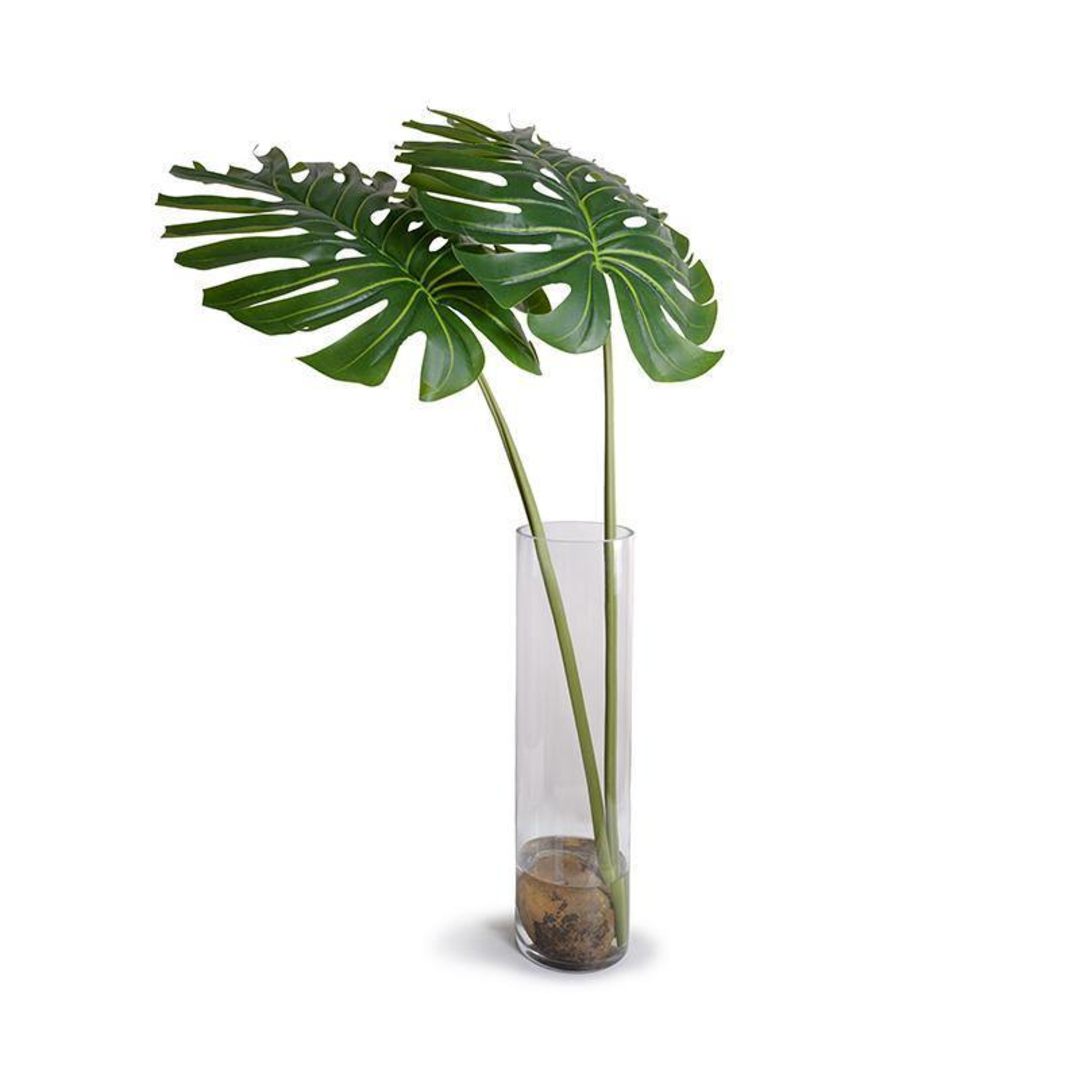 Monstera Leaves in Cylinder Vase