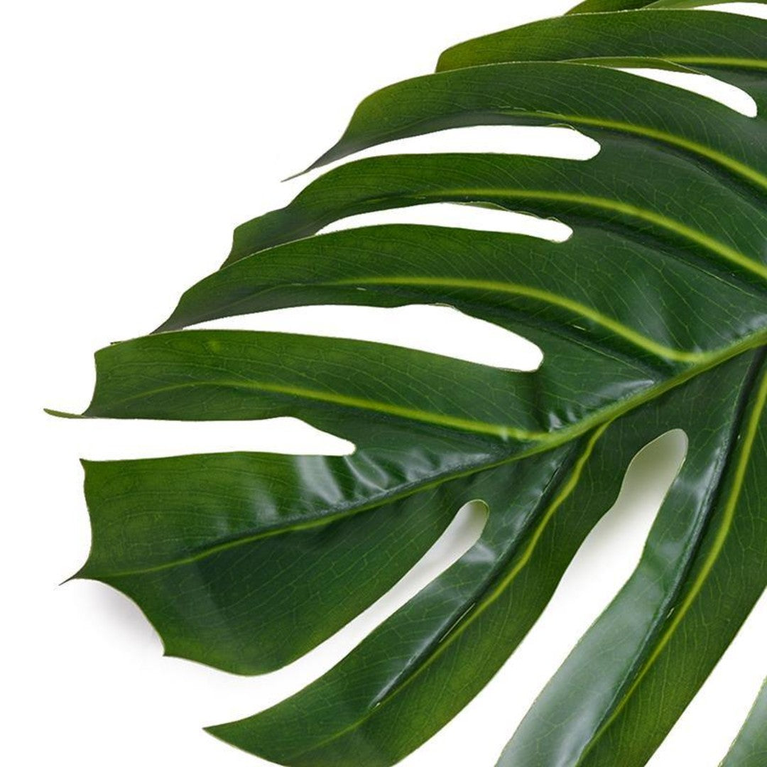 Monstera Leaves in Cylinder Vase