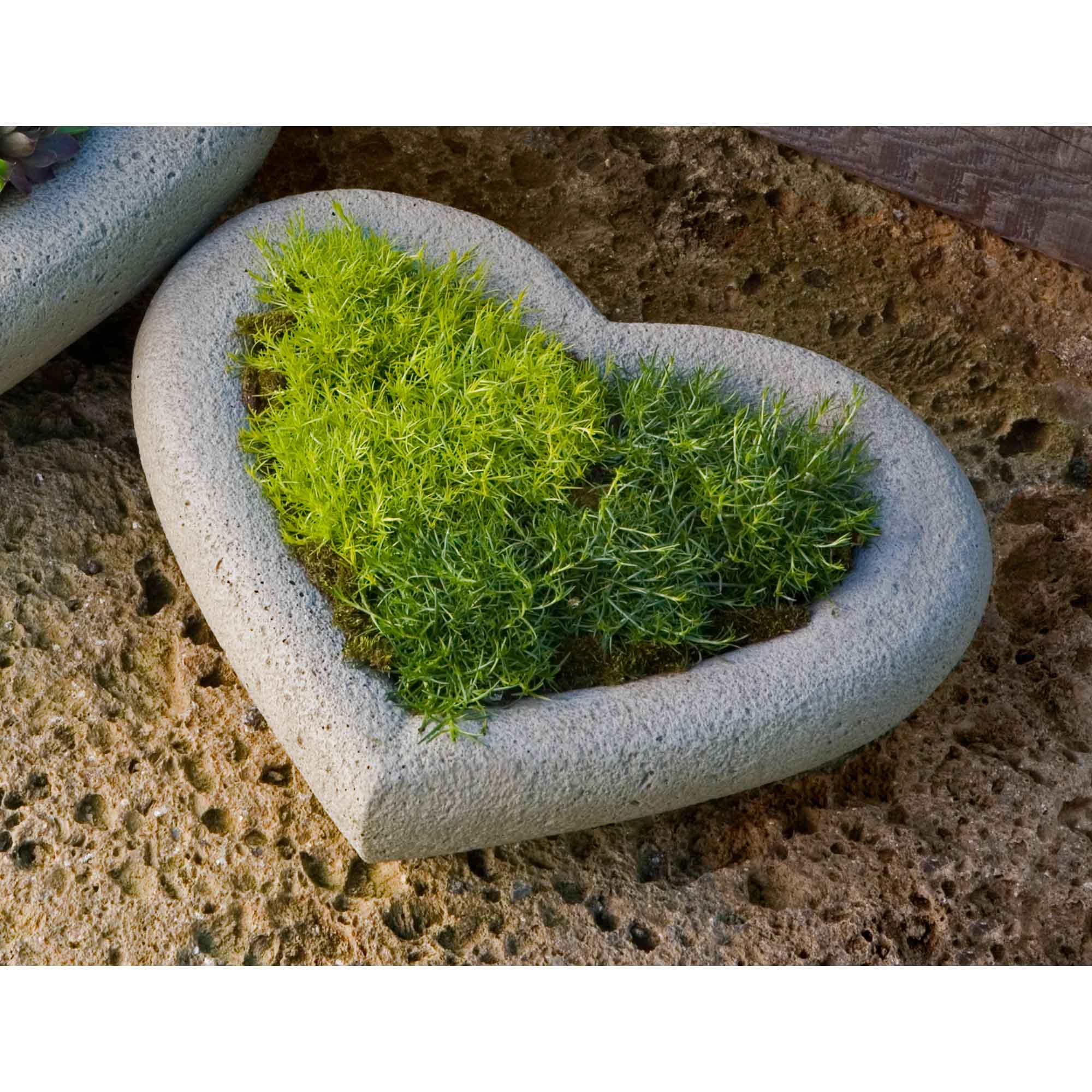 Heart Small Planter