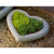 Heart Small Planter