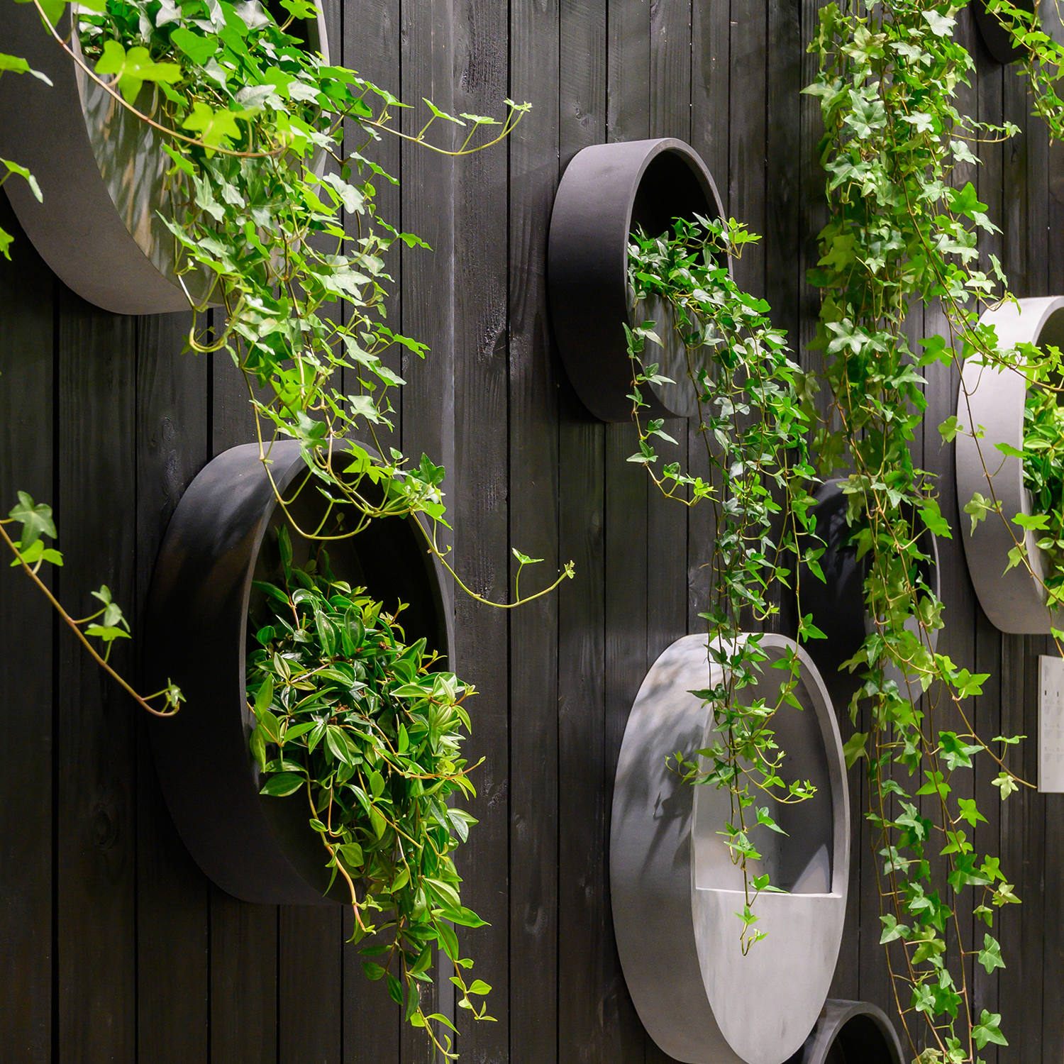 wall mounted plant pots Wally Wall Hanging Pot
