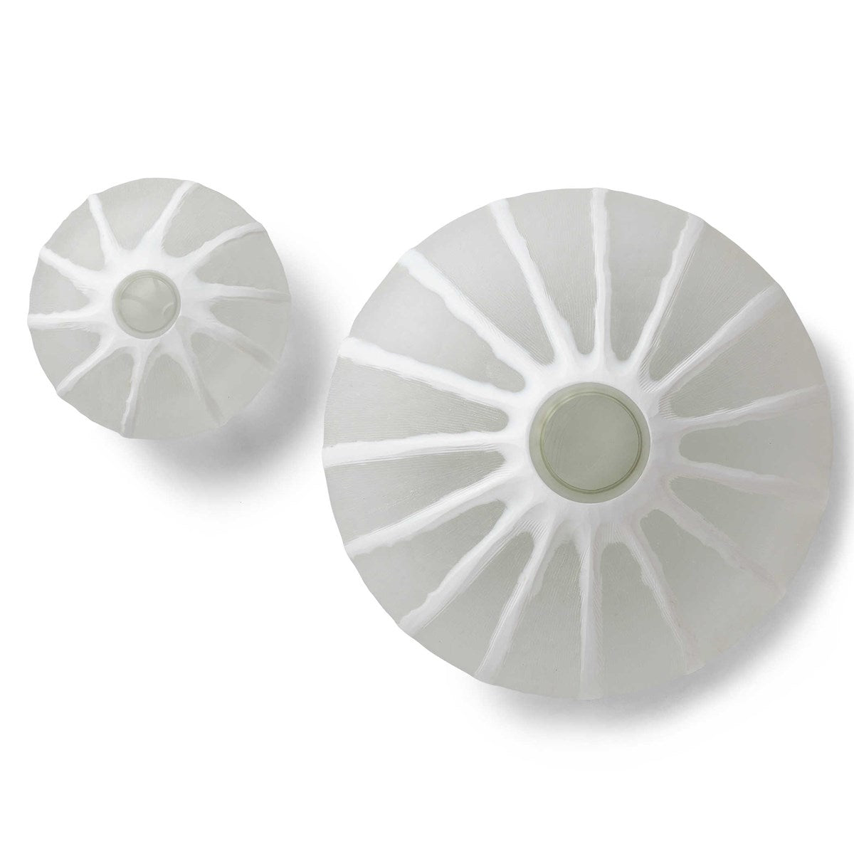 Sand Dollar Vase