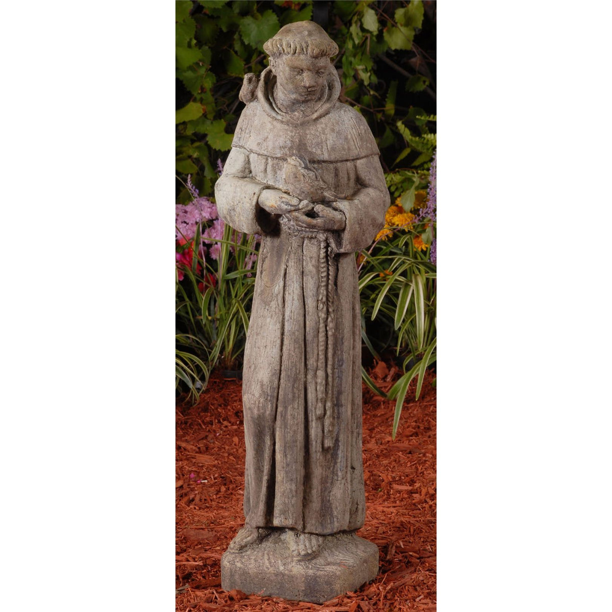Young Saint Francis